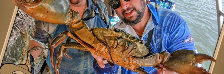 Nt Mud Crabbing king ash bay